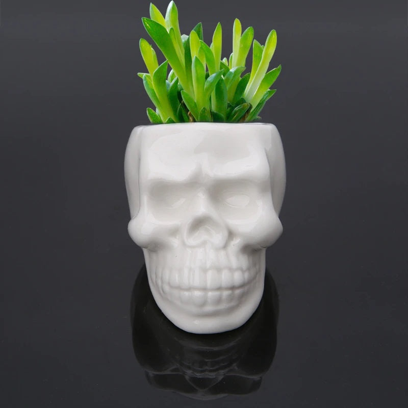 Skull Succulent Pot